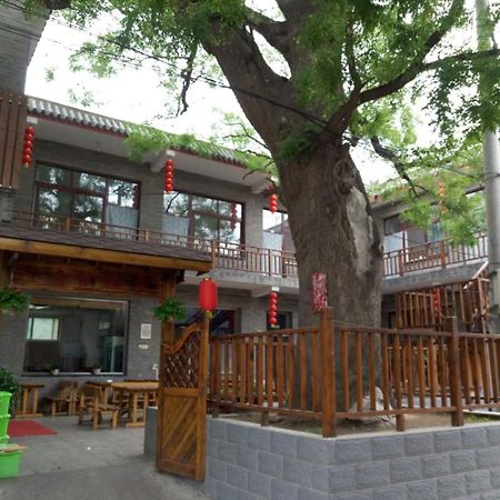 Beijing Great Wall XI Shui Yu Cun Li Bao Zhong Homestay Xinying Exterior foto